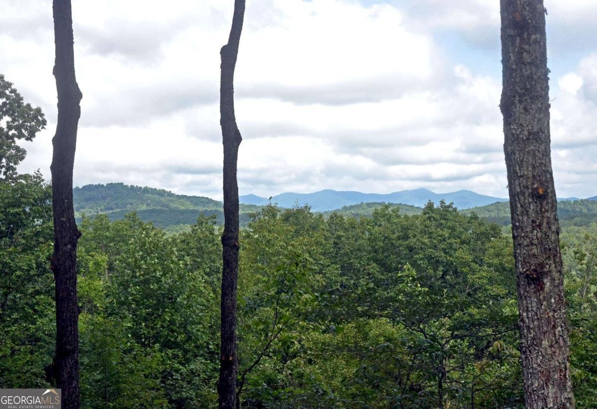594 High Country Lane Morganton - 26