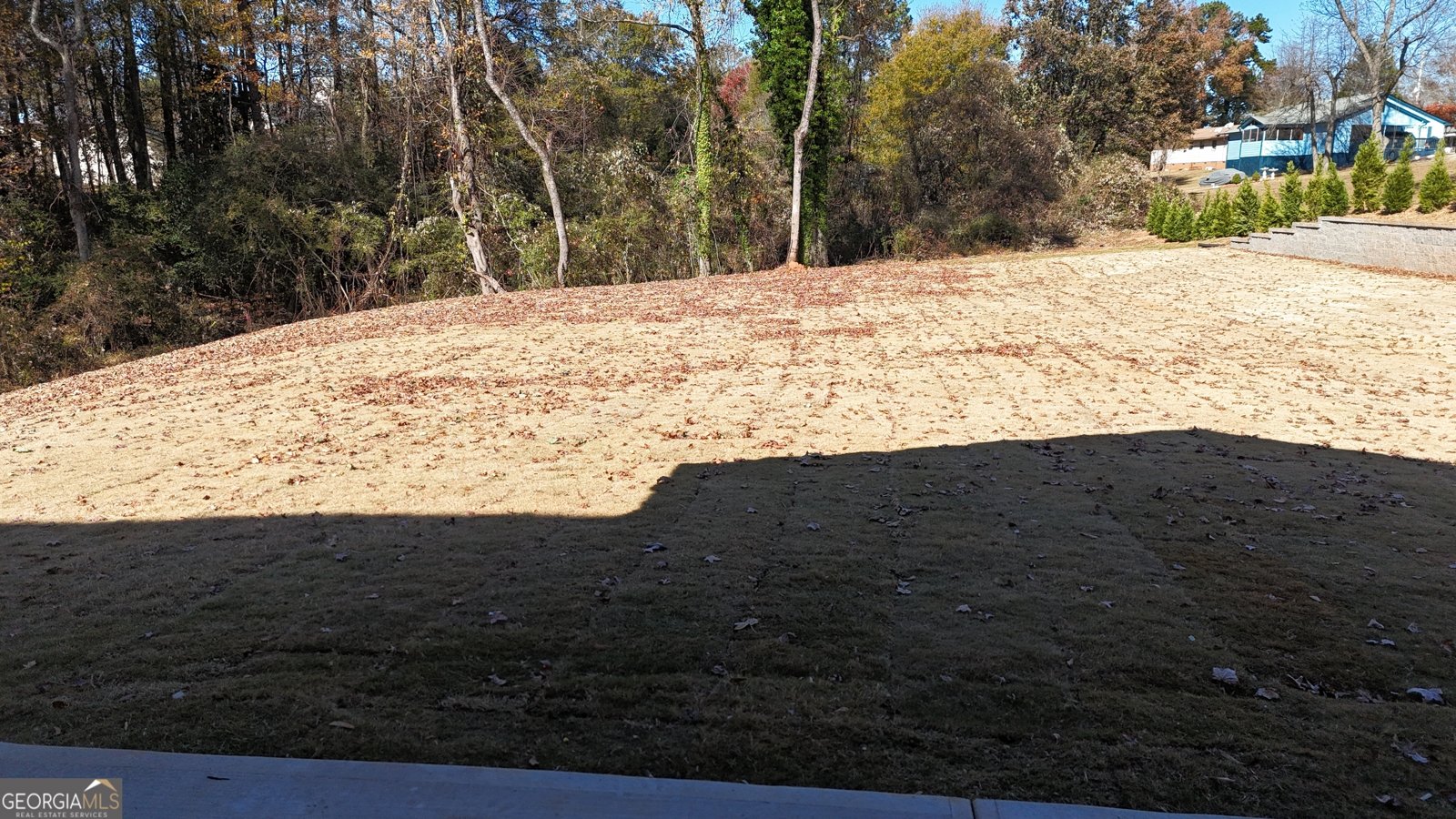 130 Legion Drive Buford - Photo 85