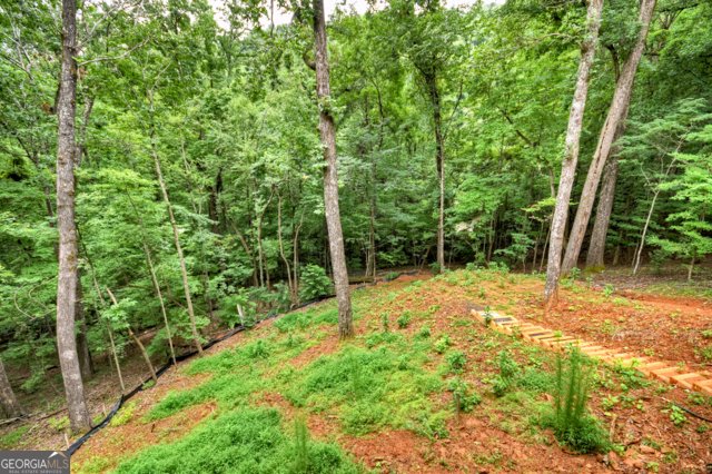 1041 Mountain Oak Road Ellijay - 19
