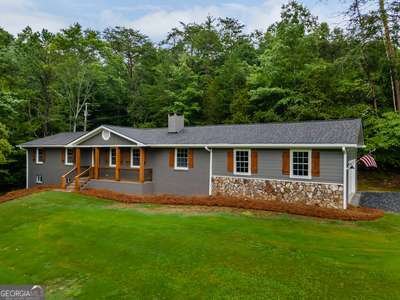 1784 Settlement Road Young Harris - 1