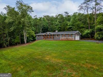 1784 Settlement Road Young Harris - 49