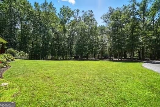 889 Freehome Road Canton - 18
