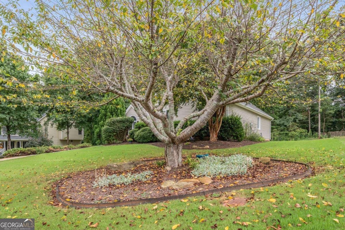 462 Whitby Drive Douglasville - 10