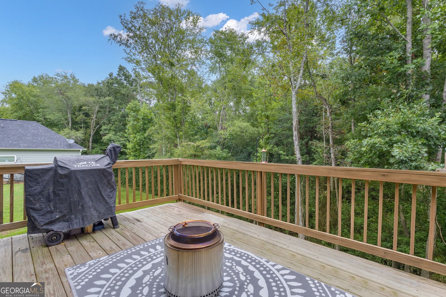313 Lucy Lane Carrollton - 20