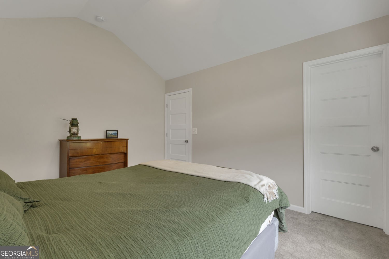 313 Lucy Lane Carrollton - 30