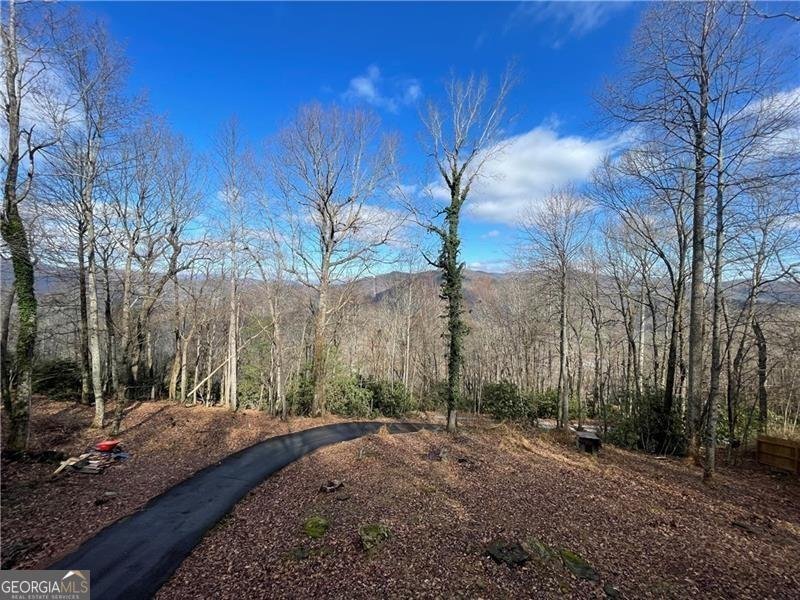 574 Bachelors Button Drive Clayton - 4