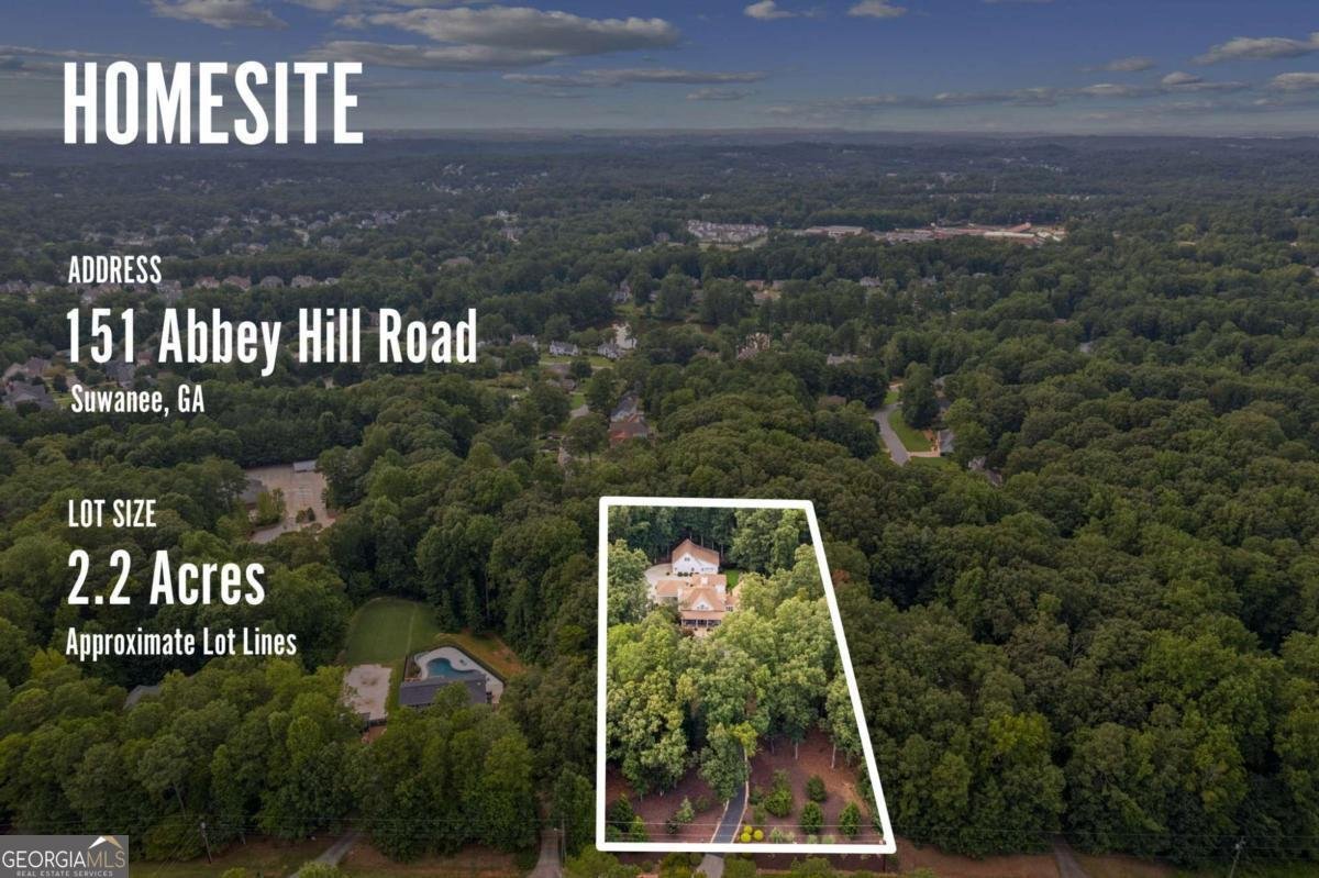 151 Abbey Hill Road Suwanee - 64