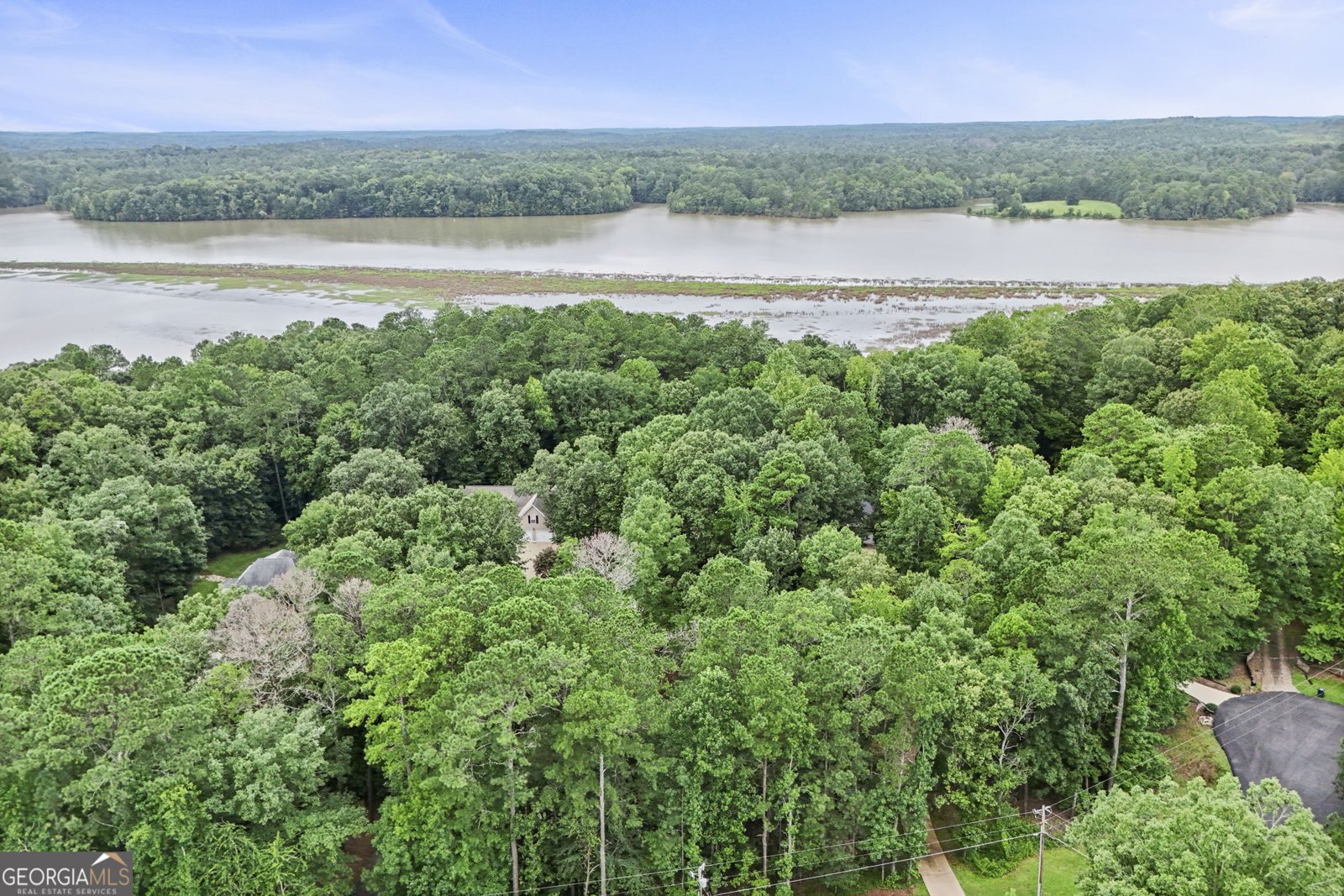 391 River Run Drive Hogansville - 48