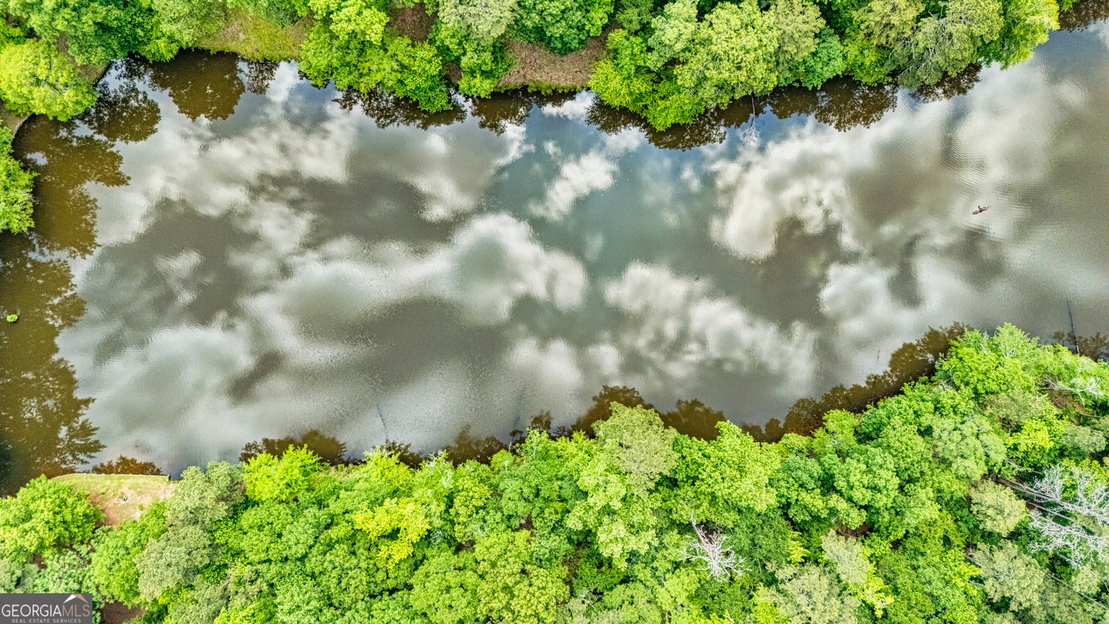 1015 Wahoo Hill Newnan - 91