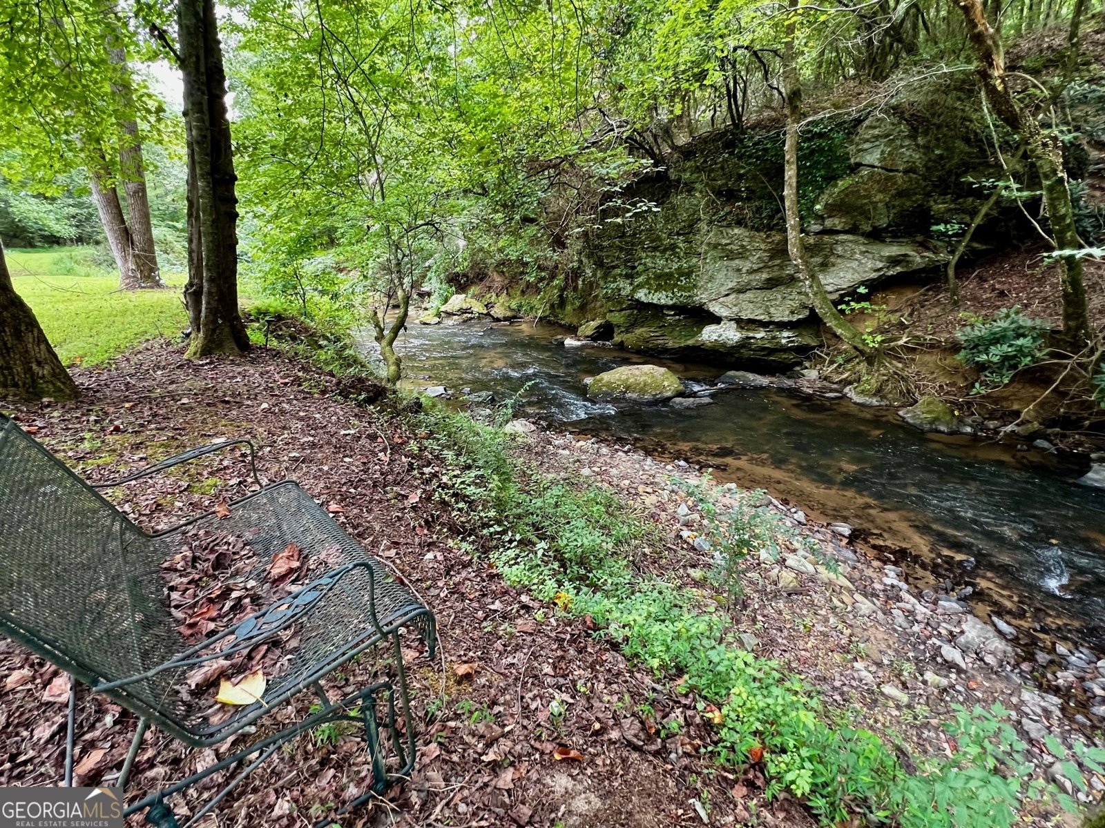 1319 Henry Evans Road Ellijay - 12