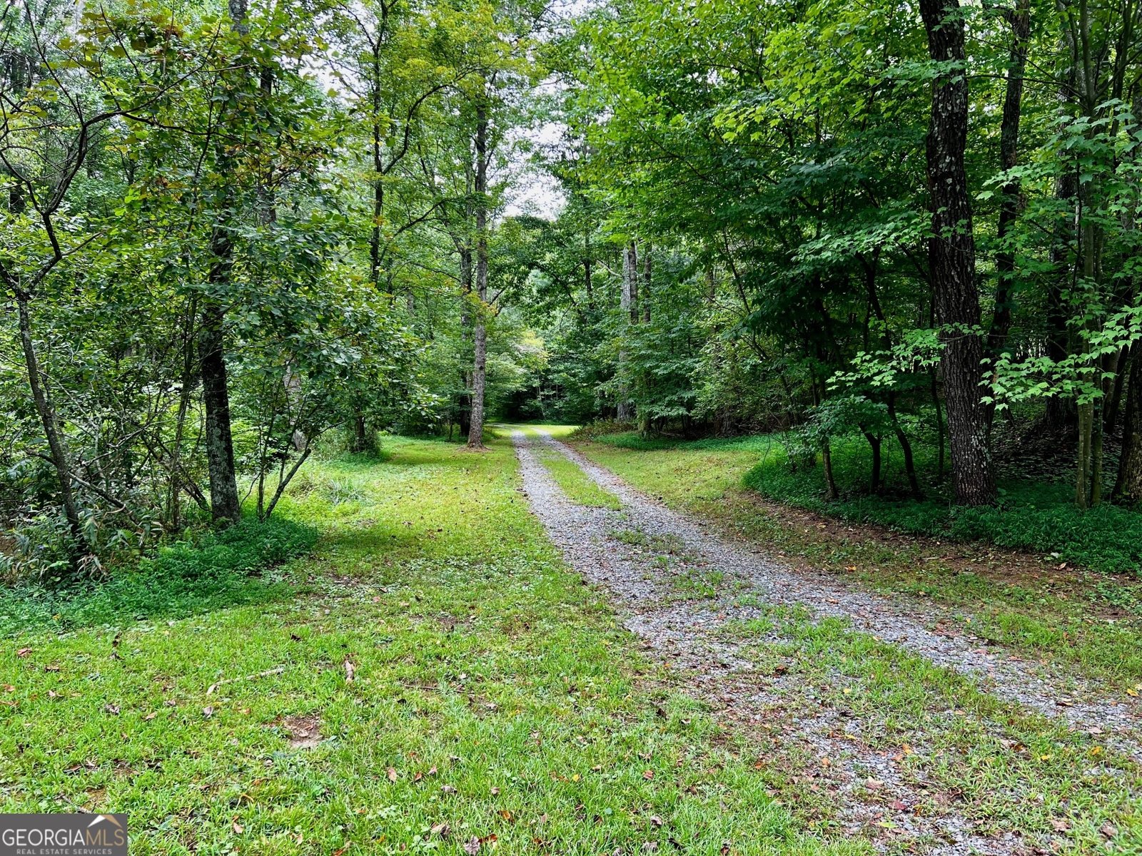 1319 Henry Evans Road Ellijay - 13