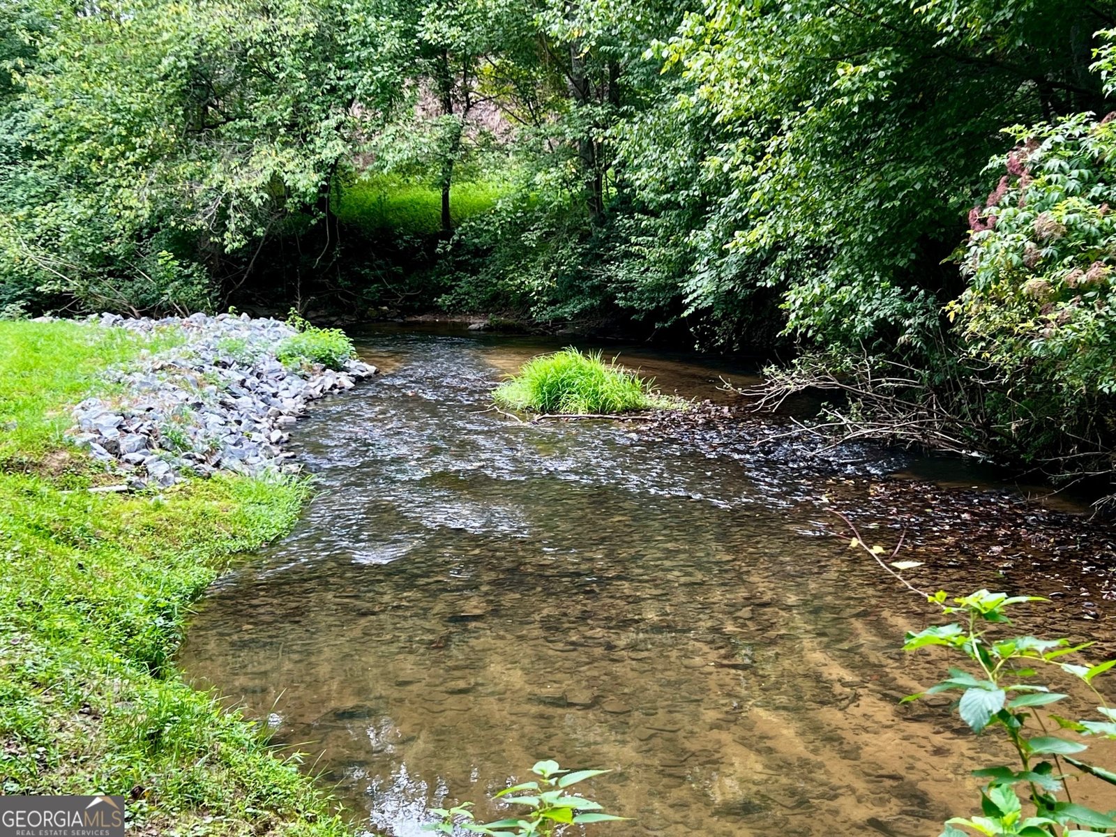 1319 Henry Evans Road Ellijay - 15