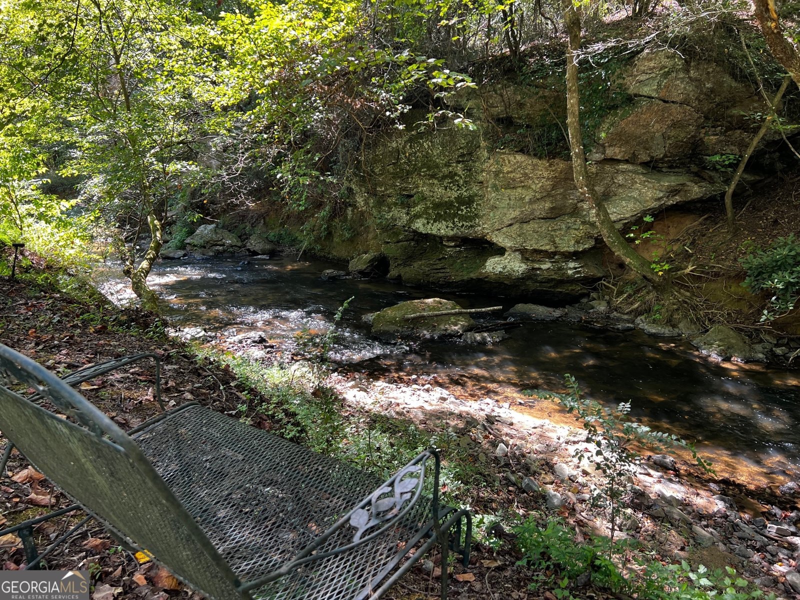 1319 Henry Evans Road Ellijay - 56