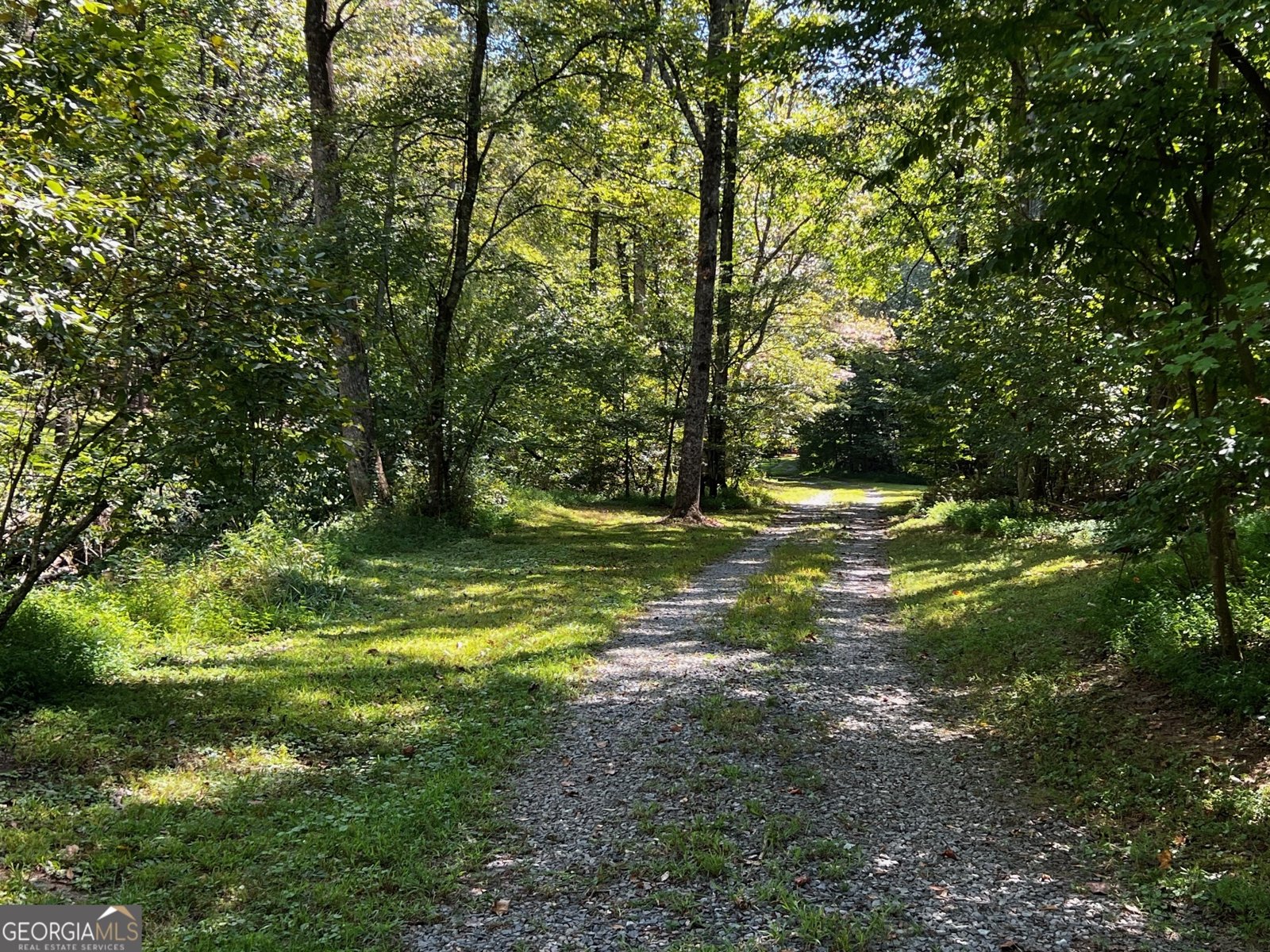 1319 Henry Evans Road Ellijay - 60