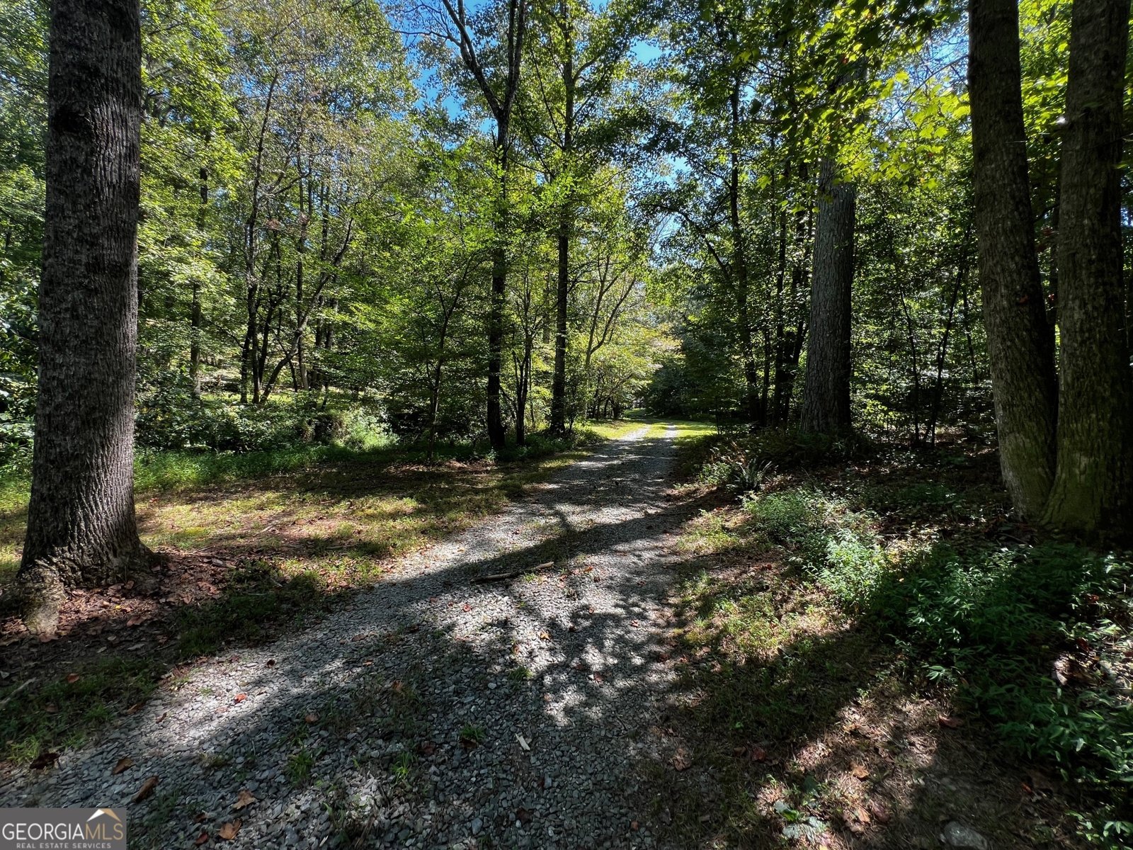 1319 Henry Evans Road Ellijay - 63