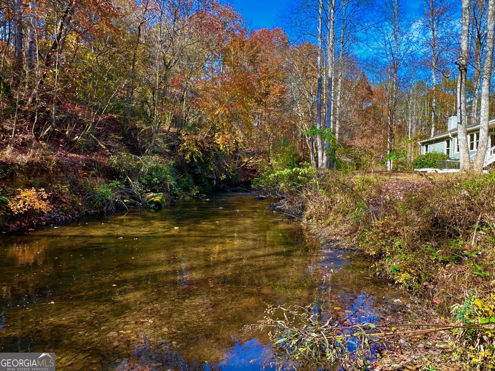 1319 Henry Evans Road Ellijay - 65