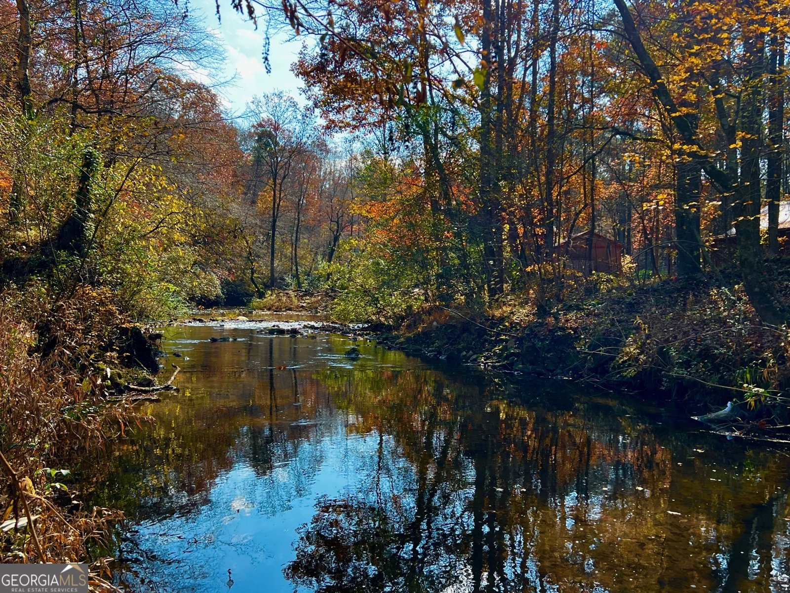 1319 Henry Evans Road Ellijay - 66