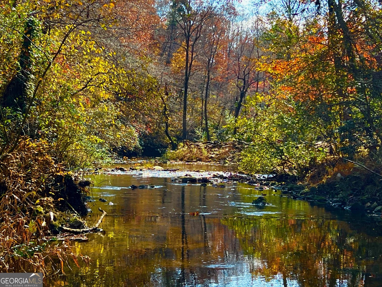 1319 Henry Evans Road Ellijay - 67