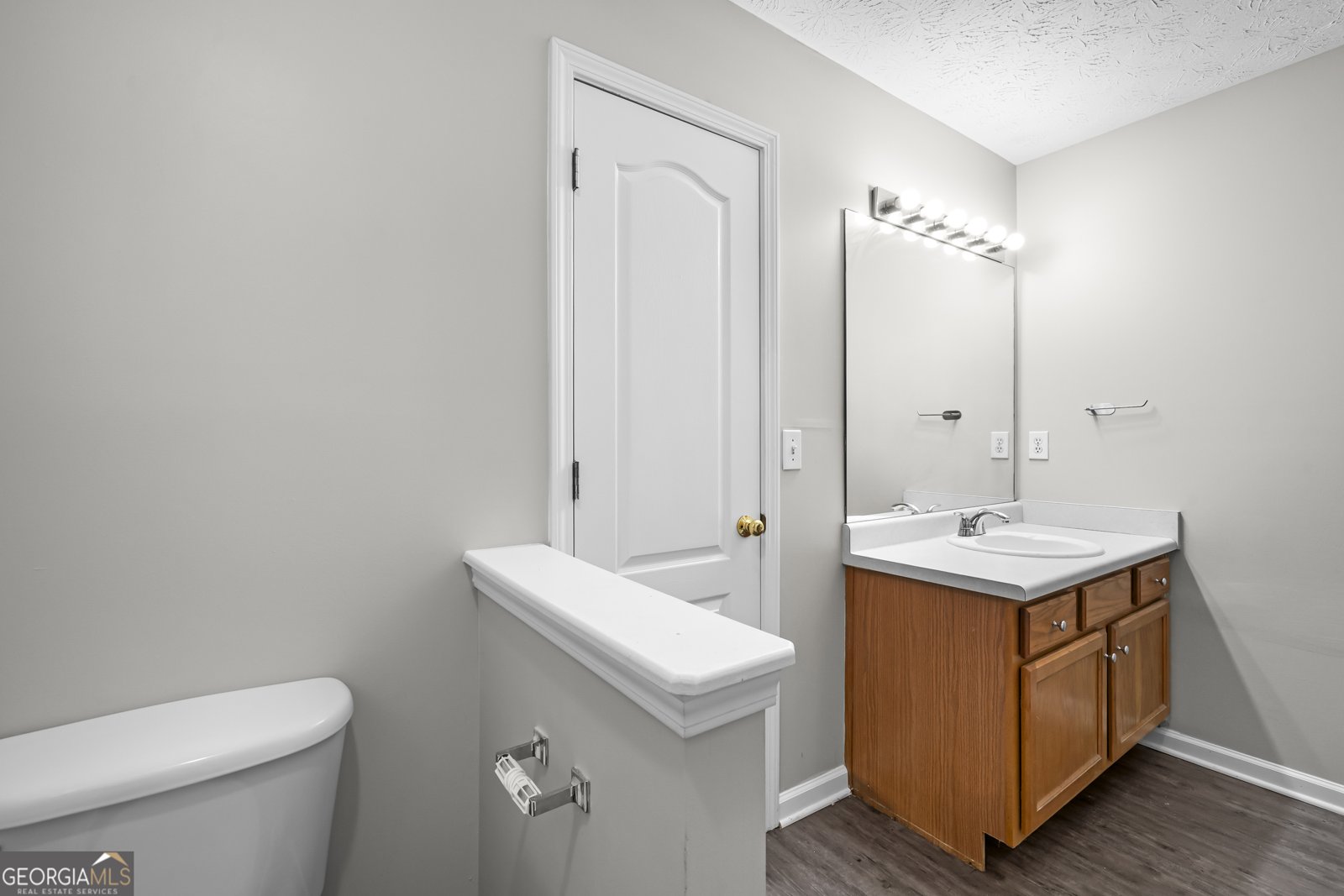 8145 Chapman Terrace McDonough - 16