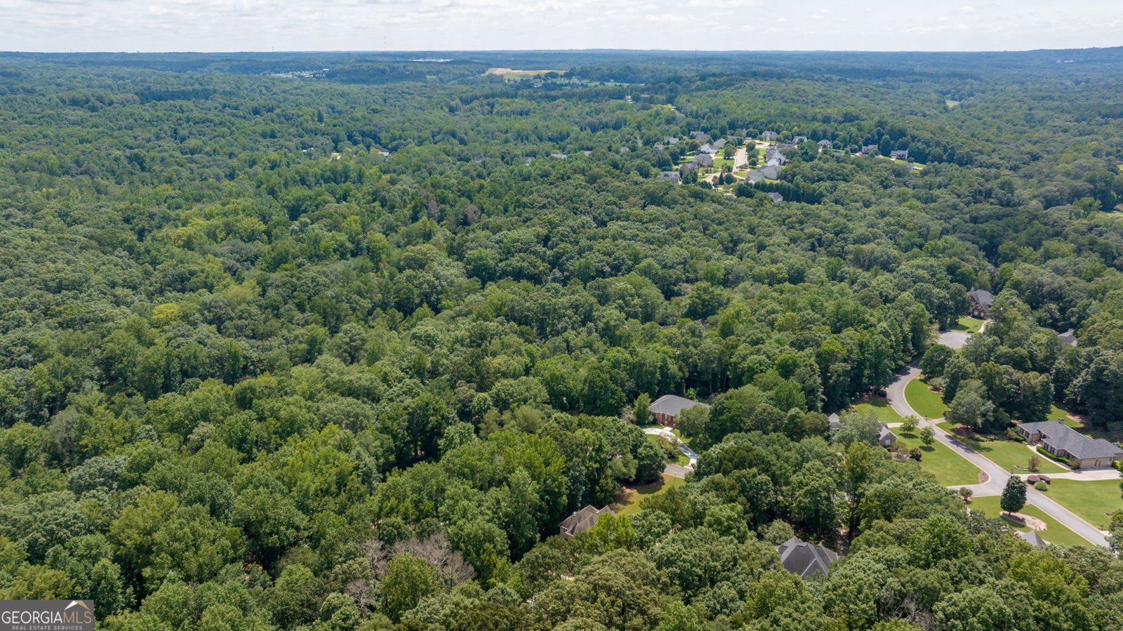 1406 Lull Water Court Hoschton - 19