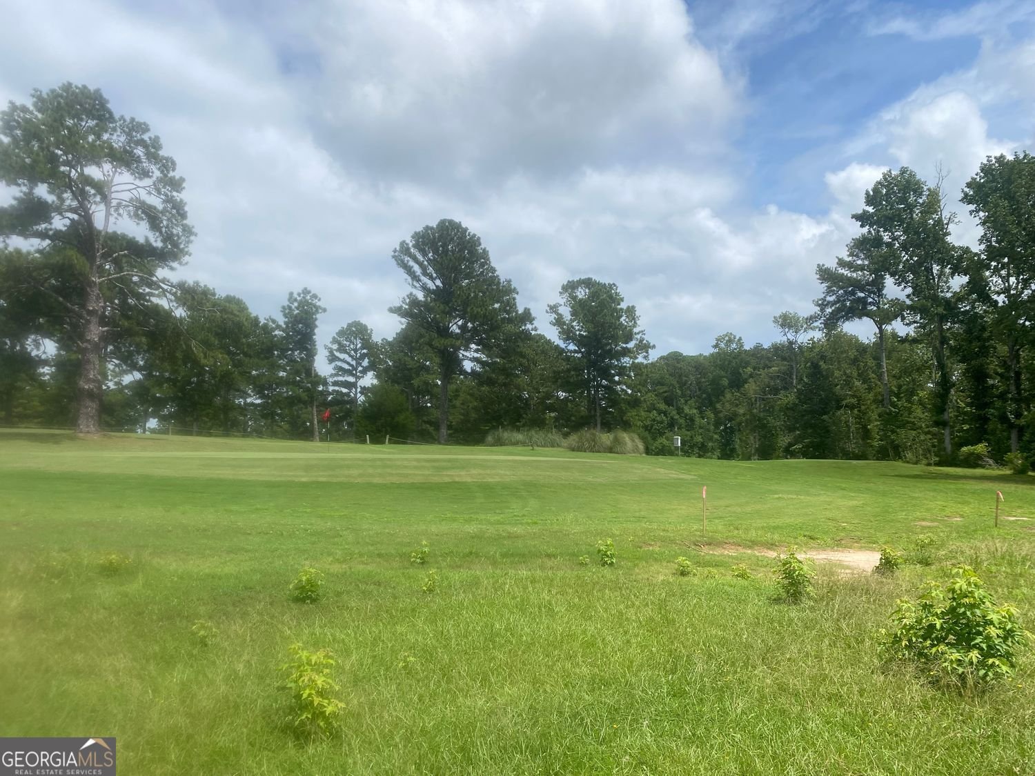 1517 Cabin Creek Trail Griffin - 7