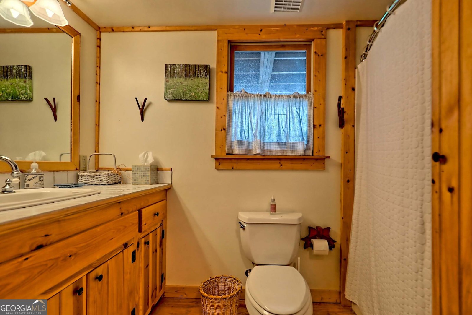 3019 Moccasin Creek Road Clarkesville - 62