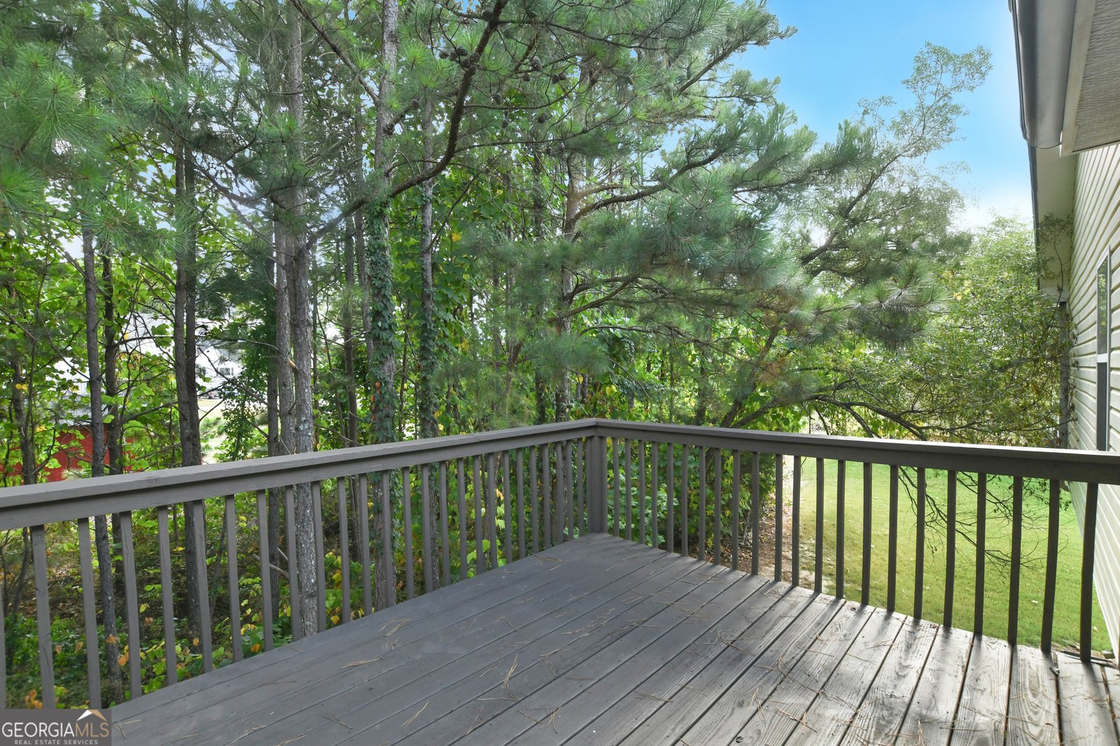 851 Walkingstick Drive Douglasville - 15