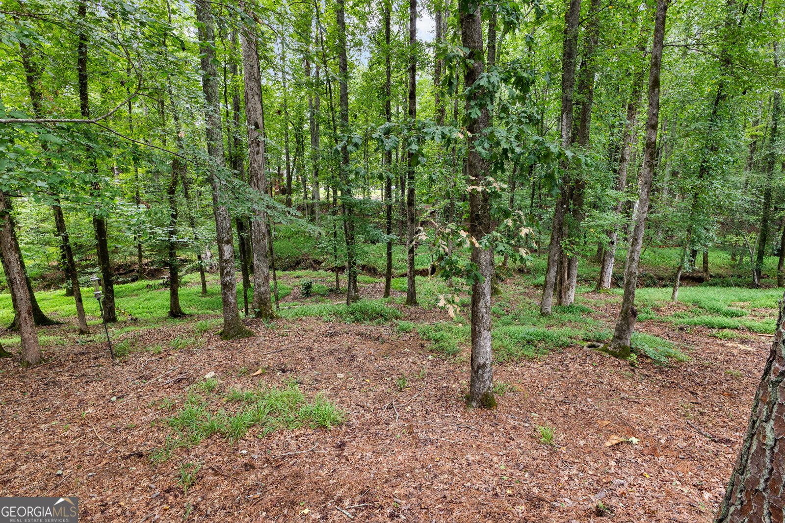 150 Browns Crossing Drive Fayetteville - 64