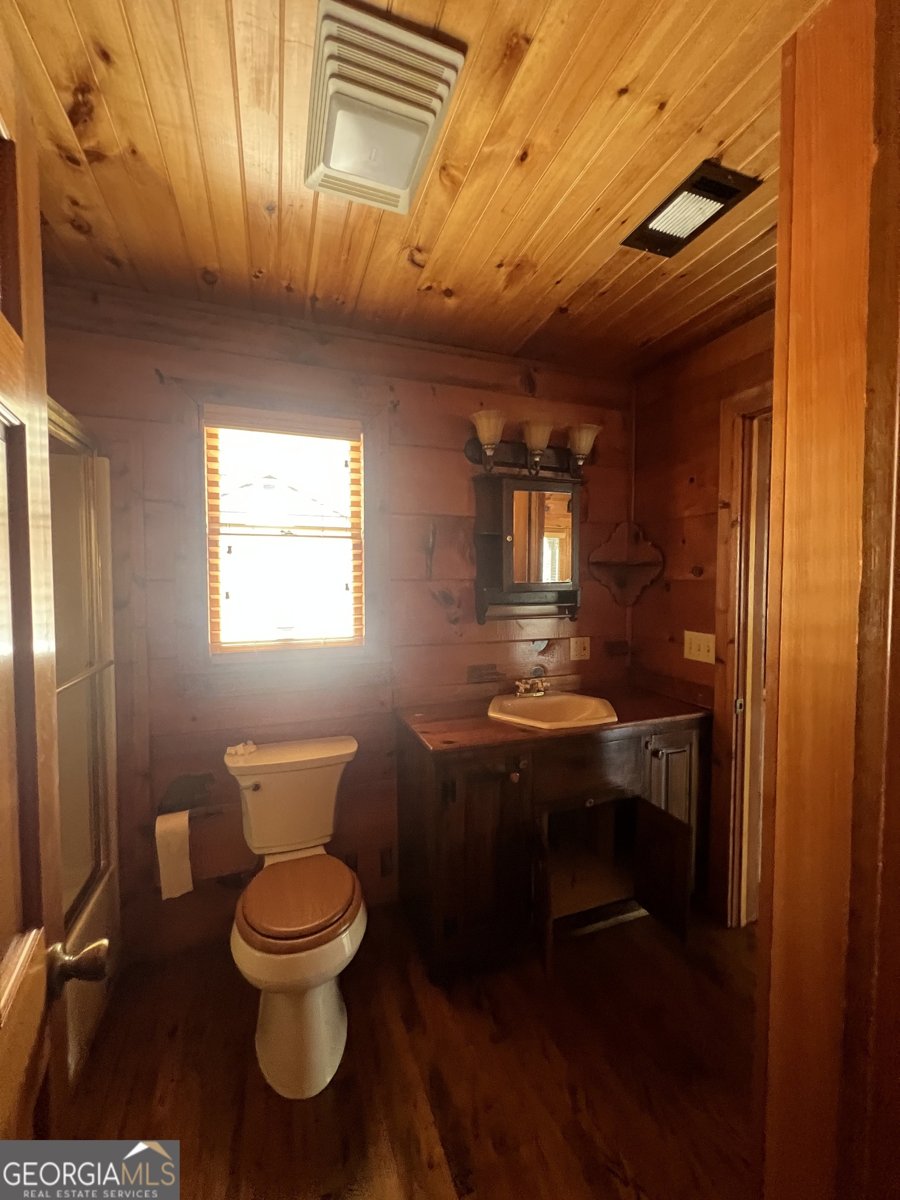 513 Toccoa River Forest Mineral Bluff - 13