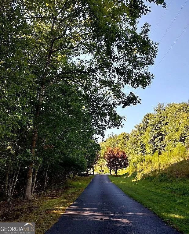 513 Toccoa River Forest Mineral Bluff - 15