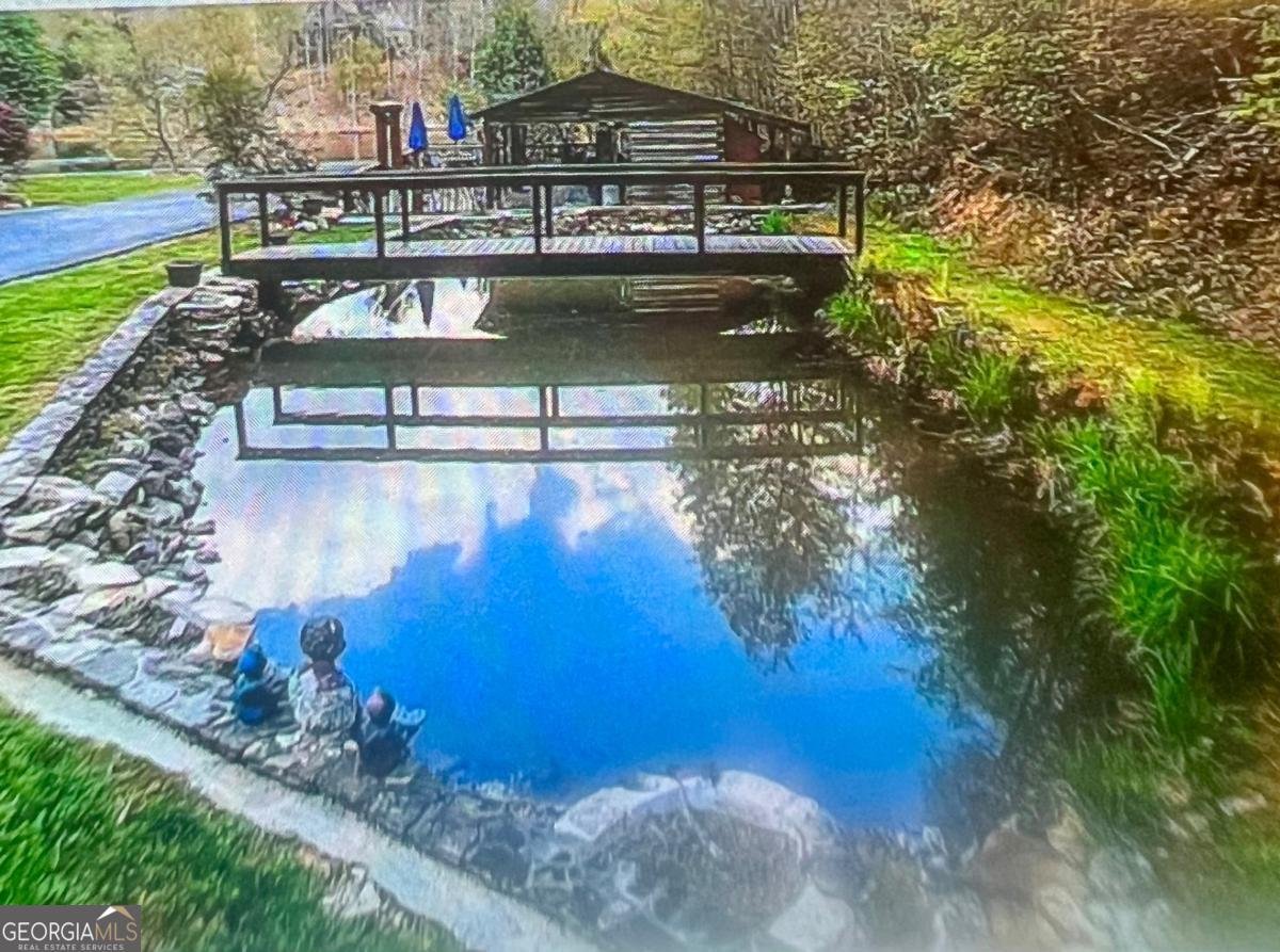513 Toccoa River Forest Mineral Bluff - 3