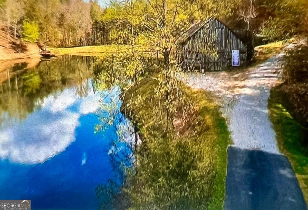 513 Toccoa River Forest Mineral Bluff - 4