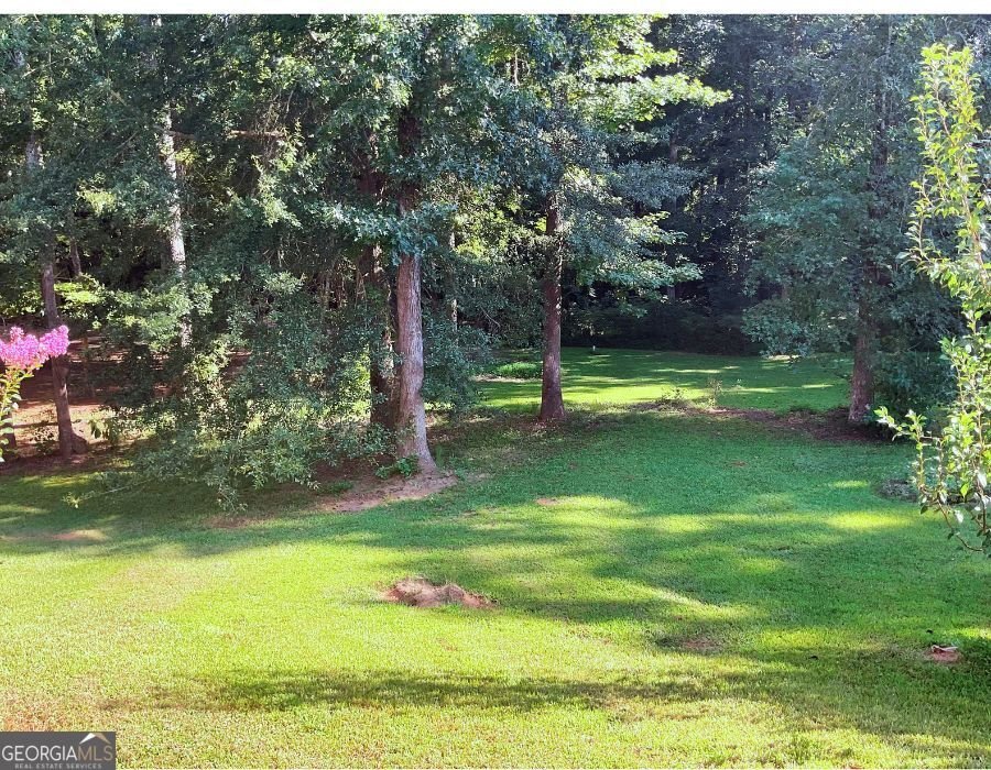 415 Tea Rose Lane Stockbridge - 3
