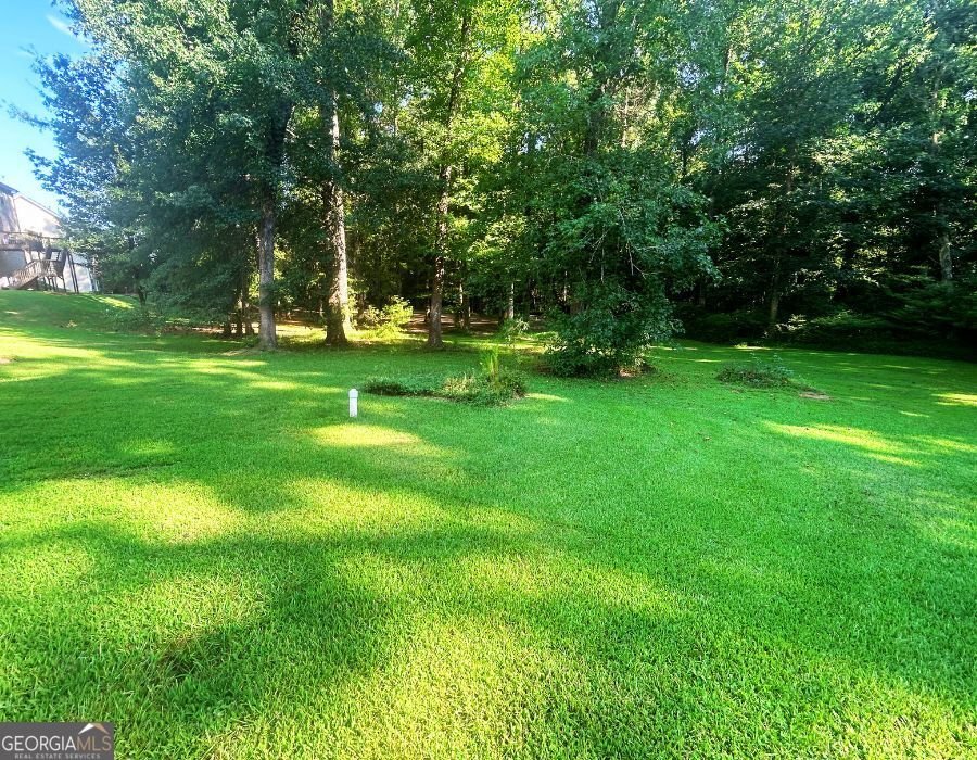415 Tea Rose Lane Stockbridge - 4