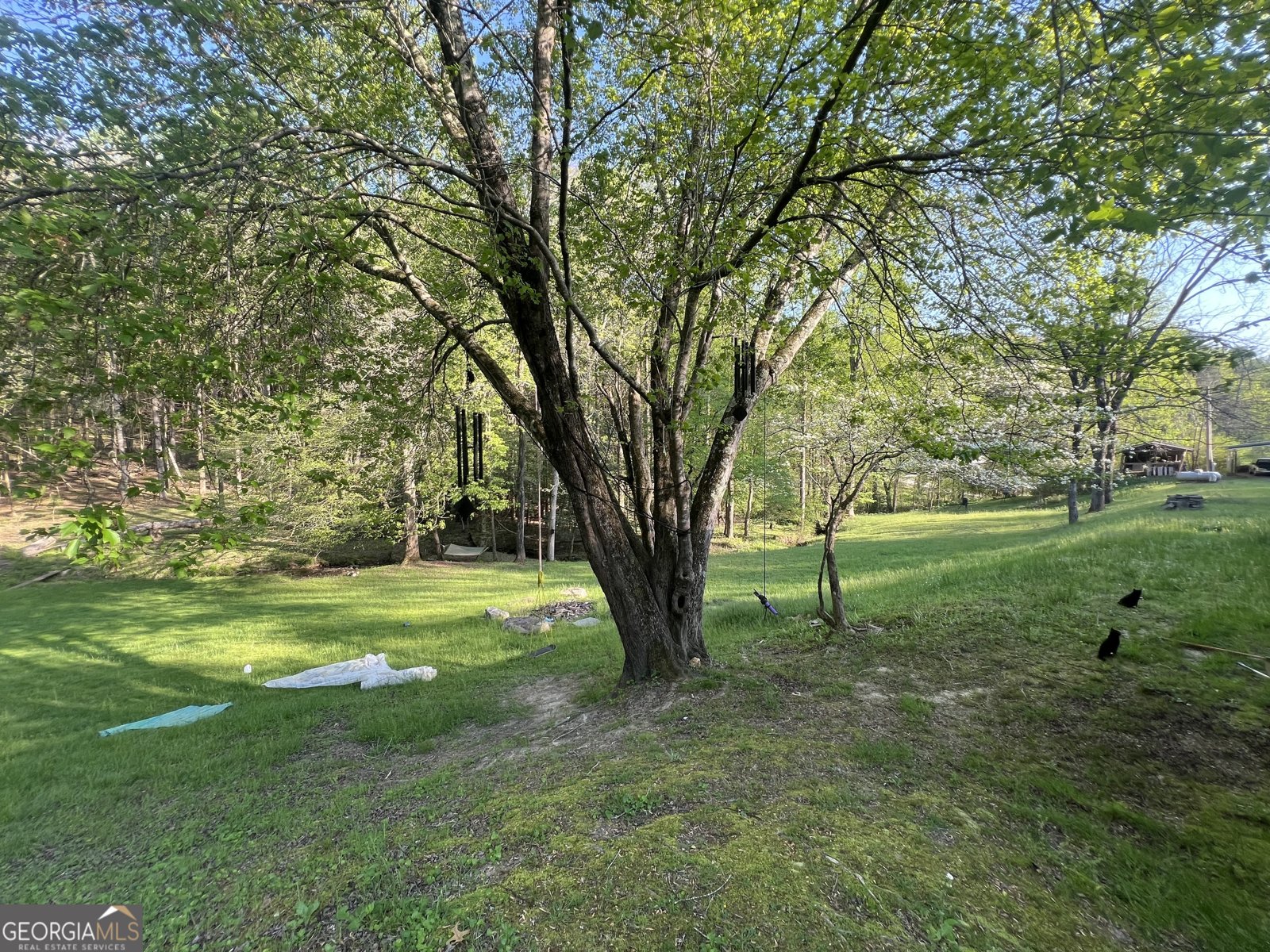 5134 Boardtown Road Ellijay - 2