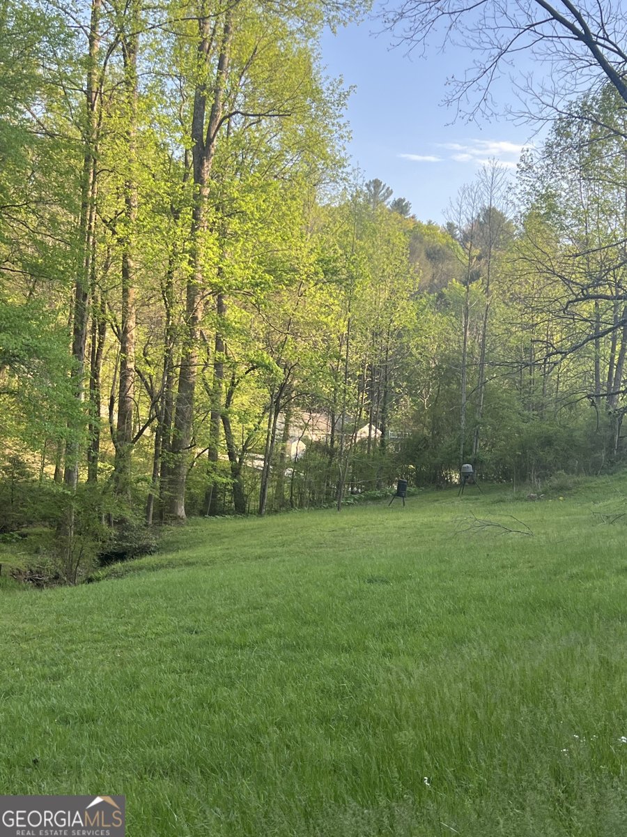 5134 Boardtown Road Ellijay - 7