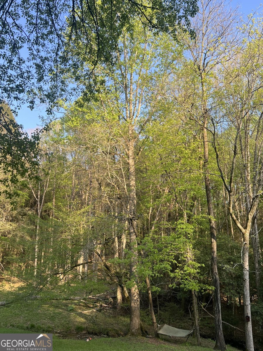 5134 Boardtown Road Ellijay - 8
