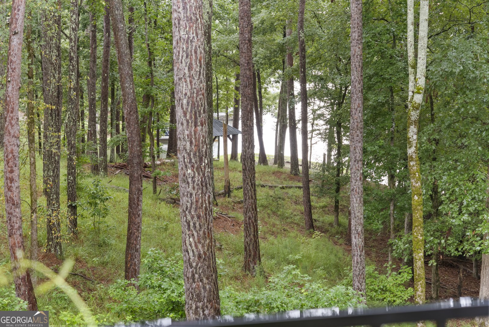 1091 Jones Bluff Court Greensboro - 6