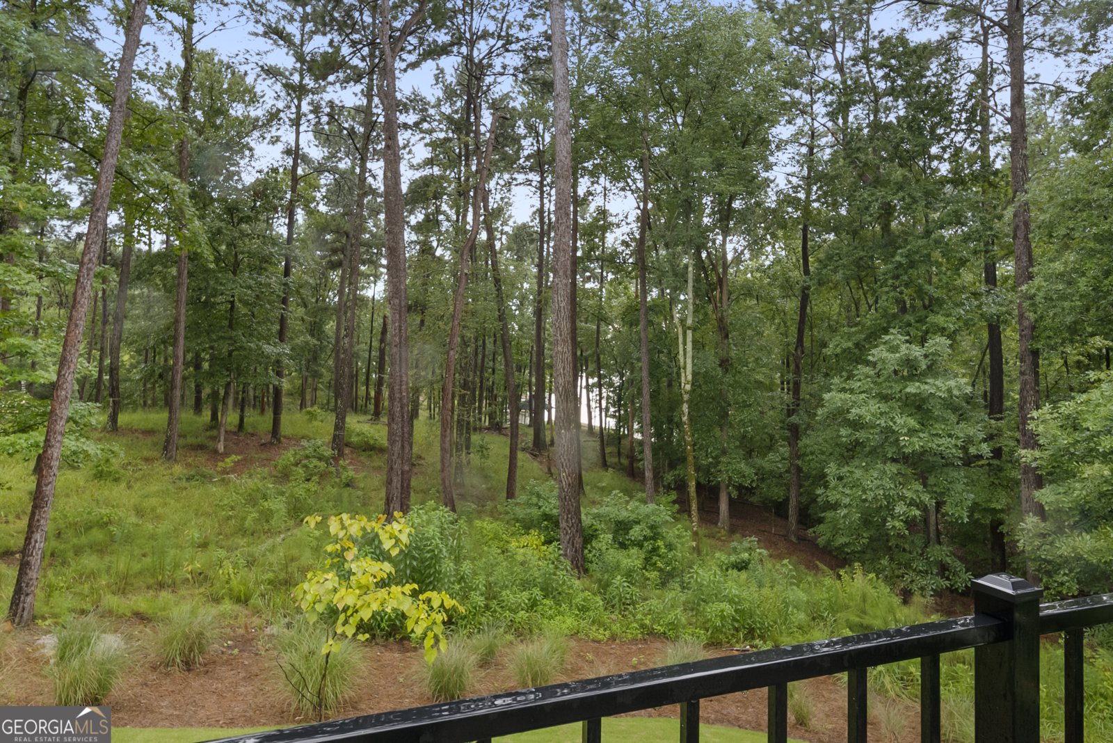 1091 Jones Bluff Court Greensboro - 86