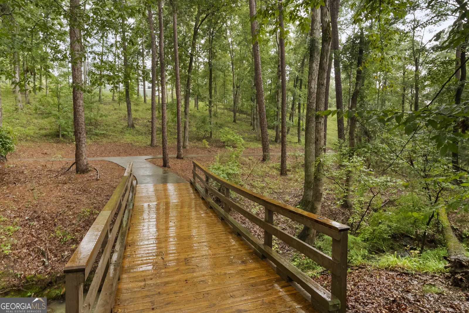 1091 Jones Bluff Court Greensboro - 87