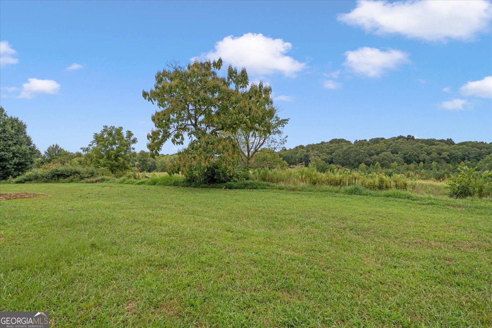 500 Upper Caldwell Road Bowdon - 40
