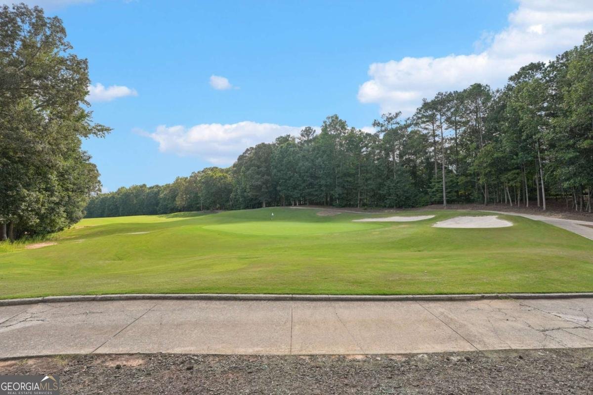 583 Carl Sanders Drive Acworth - 79