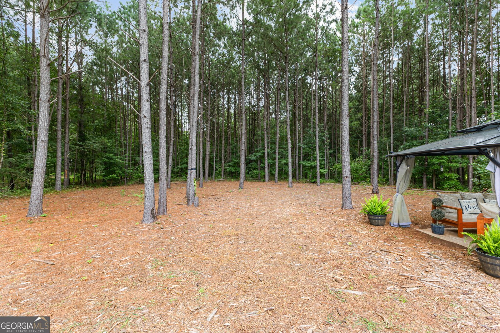 1918 McWilliams Barber Road Luthersville - 11