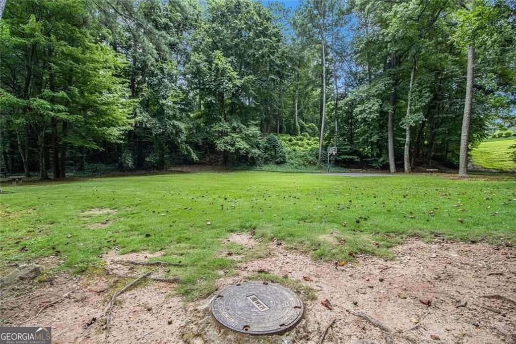 3402 Johnson Ferry Road Roswell - 62