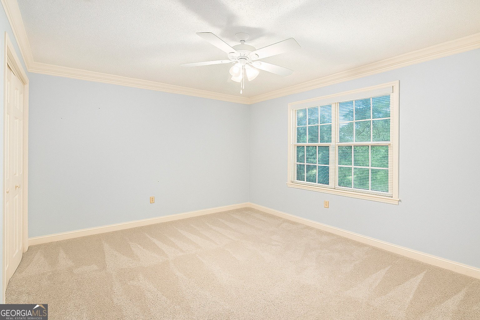 215 High Ridge Drive Athens - 19