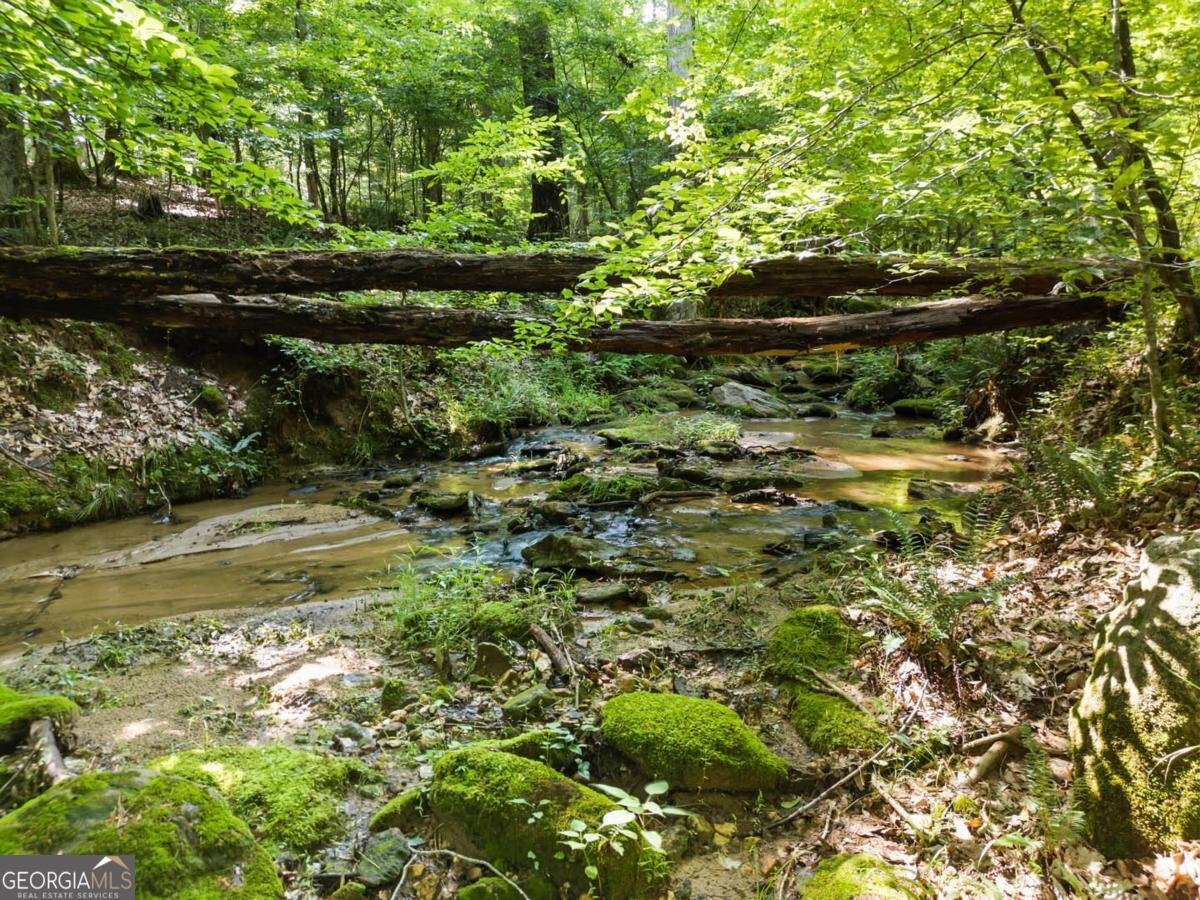 2950 A Doster Road Madison - 12