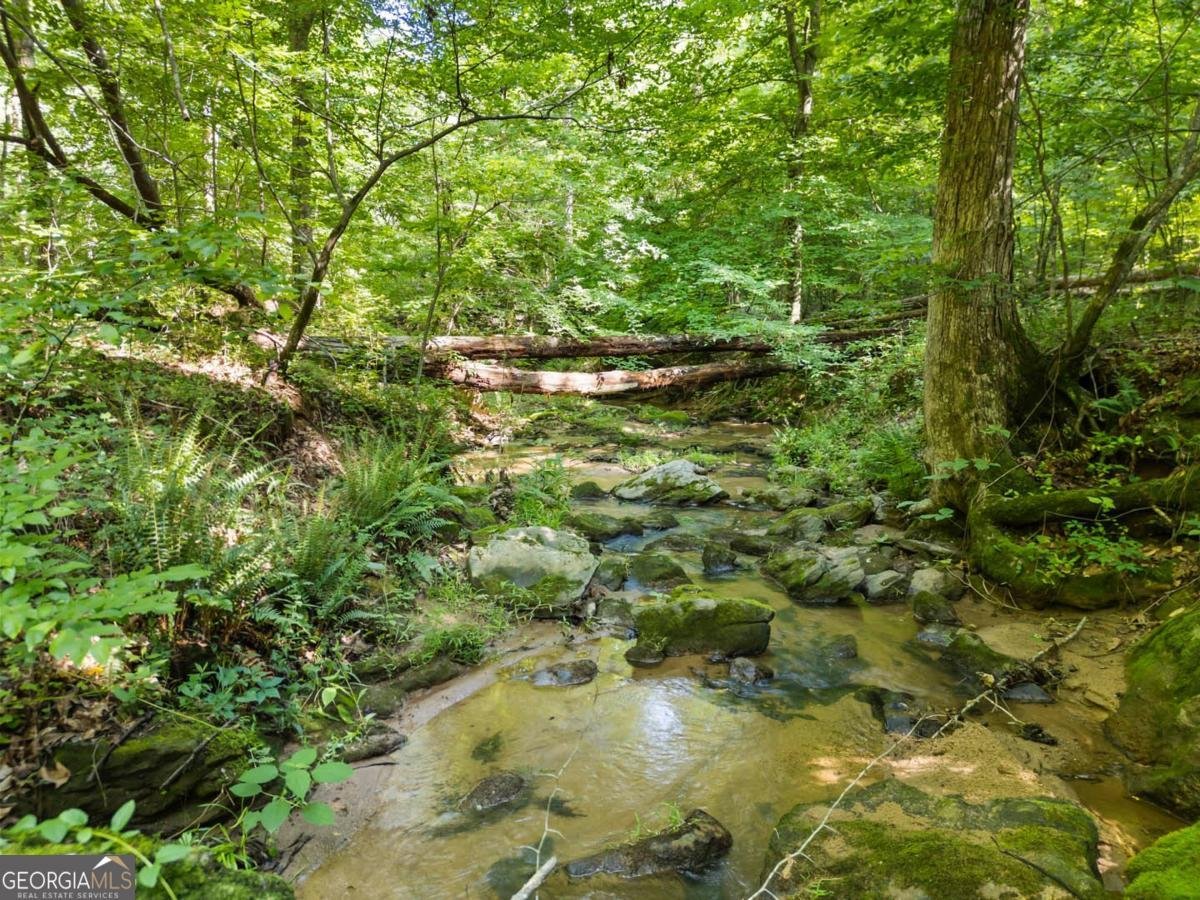 2950 A Doster Road Madison - 13