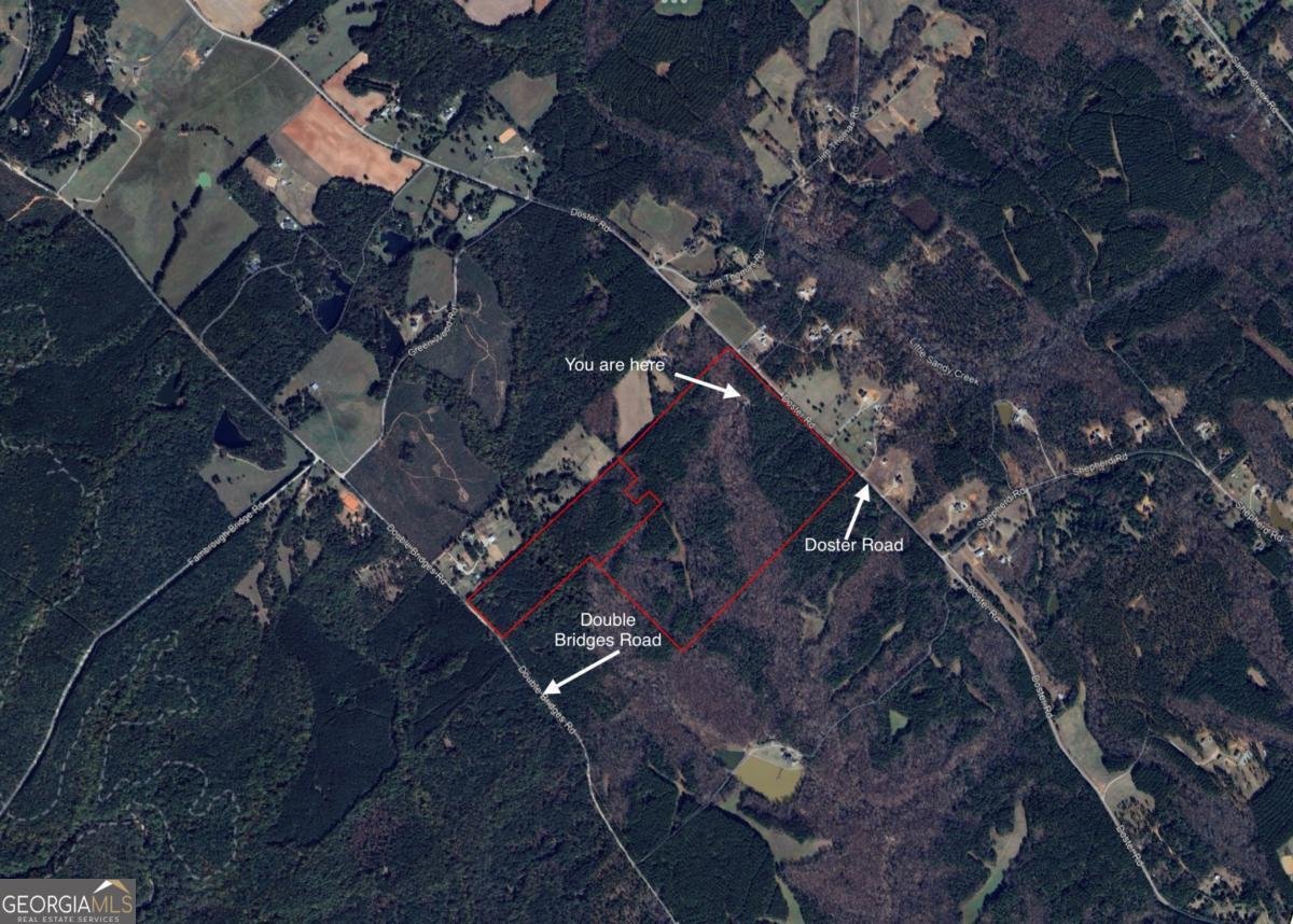 2950 A Doster Road Madison - 34