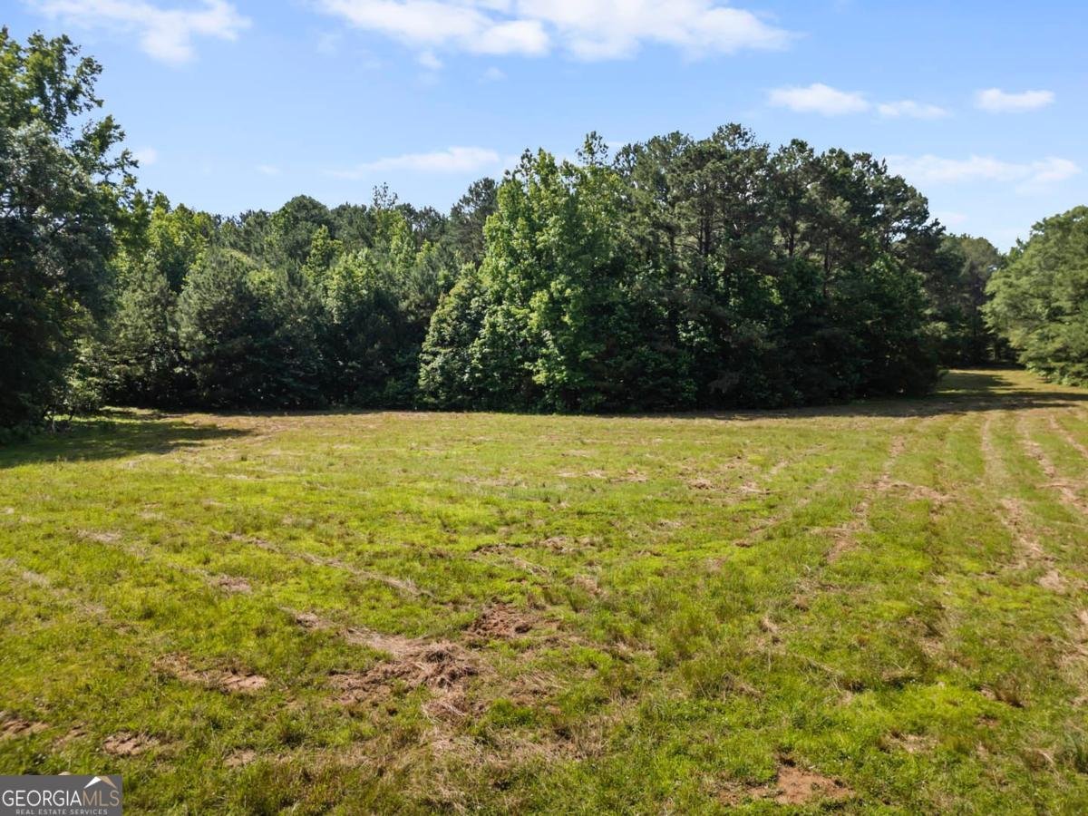 2950 A Doster Road Madison - 4