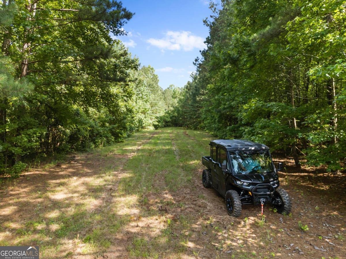 2950 A Doster Road Madison - 9